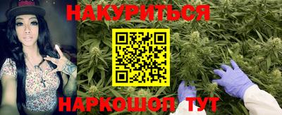 мдма Новозыбков