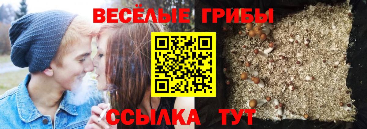 Галлюциногенные грибы Cubensis Рязань